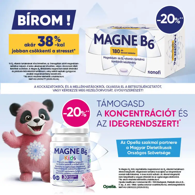 nyito-banner-magneb6-202609