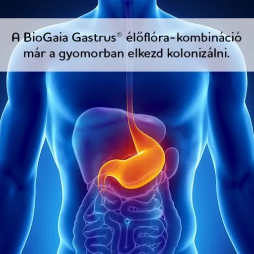 BioGaia Gastrus Total mandarin ízű rágótabletta 30 db