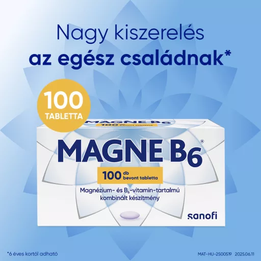 Magne B6 bevont tabletta 100 db