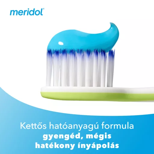 Meridol Parodont Expert fogkrém 75 ml