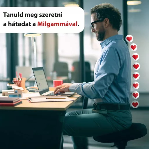 Milgamma N lágy kapszula 100 db