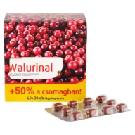Walurinal Aranyvessző kapszula 60 + 30 db