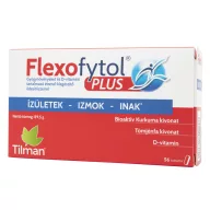   Flexofytol plusz gyógynövényeket és D-vitamint tartalmazó tabletta 56 db