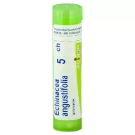 Boiron Echinacea golyócskák C5 4 g