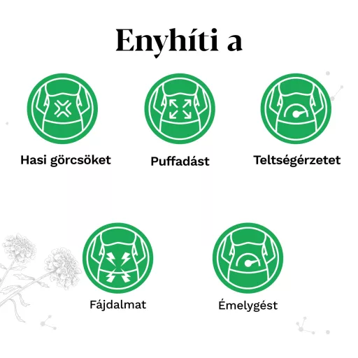 Iberogast Nonaherba oldatos cseppek 50 ml