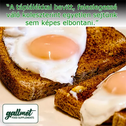 Gallmet Natural epesav kapszula 30 db