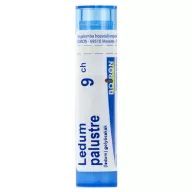 Boiron Ledum Palustre golyócskák C9 4 g