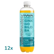 VIWA BrainBoost vitaminvíz 12 x 600 ml