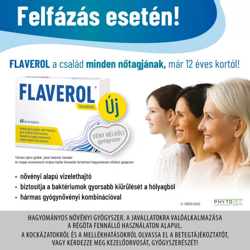 Flaverol filmtabletta 60 db