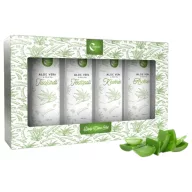   Charlotte aloe vera-zöld tea tusfürdő, testápoló, kézkrém és arckrém ajándékcsomag