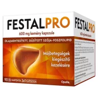 FestalPro 600 mg kemény kapszula 90 db