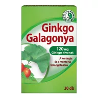 Dr. Chen Ginkgo Biloba 120 mg kapszula galagonyával 30 db