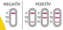 Negatív és pozitív teszteredmény szemléltetése C, T1 és T2 jelölésekkel